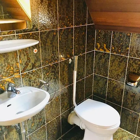 Ferienwohnung Maximilia Apartment Segnitz